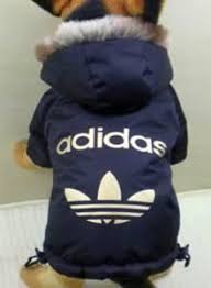 Adidas Hoodies For Dogs Details For Fs Adidas Nike Dog