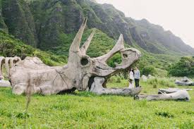 We did not find results for: Kualoa Ranch Archives Isle Media