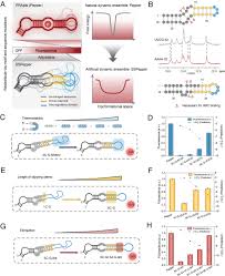 Image result for Modified Apt Test