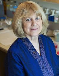 Ahead of the Curve web profiles.indd