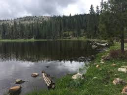 Gunpoint Government: How a 12-Hour Hostage Crisis Exposes the Wild West of US Forest Service Safety