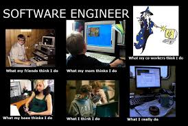 I Made This Software Engineer What I Really Do Software Engineer Engineering Engineering Science