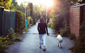 Pin On Health Fitness