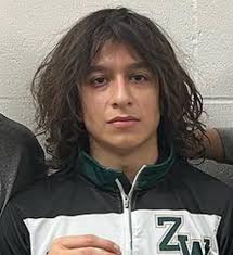 Meet the Holland Sentinel All-Area Wrestling Team, boys and girls