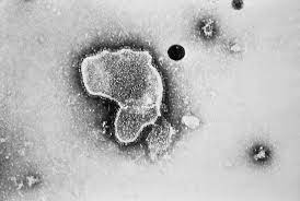 Jun 18, 2021 · * indonesia shares track worst day since may 19 * bank of japan keeps monetary policy steady * graphic: Experts In Japan Warn Of Unseasonable Spread Of Cold Like Virus The Japan Times