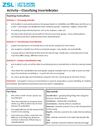 Work sheet on introduction to inverta brate. Ks2 Activity At School Classification Of Invertebrates Invertebrate Vertebral Column