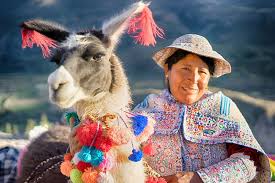A Peruvian Woman Poses In Traditional Clothing With A Llama Wearing Pom Pom Adornments Image By Tydence Davis Llama Photo Op Co Llama Decor Llama Pom Pom
