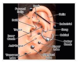 The Ultimate Body Piercing Price Guide Nearme Life Blog