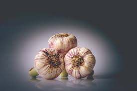 Spend £10 and get 50 free plant labels & pen! Down In The Garden Its Got To Be Garlic Central Coast Community News