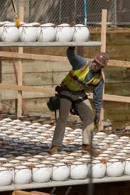 Gallery Of Bubbledeck Technology At Harvey Mudd College Matt Construction 8 Building Systems Concrete Construction