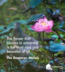 Read more quotes from walt disney company. Random Acts Randomacts Org The Flower That Blooms In Adversity Is The Most