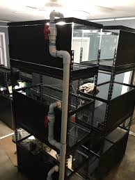 Plumbing Tanks For My Fishroom