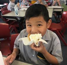 Villa View: Issue 06/19