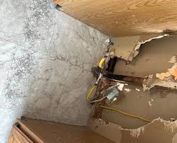 How to Handle Mold in Your Rental: Tenant's Guide | PuroClean of Lansdale  (267) 834-5900