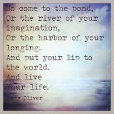 Pin By Sacred Cake On Quotes Mary Oliver Quotes Mary Oliver Poems Inspirational Words