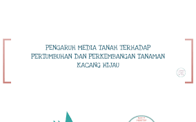 1.pengertian pertumbuhan dan perkembangan kacang hijau. Pengaruh Media Tanah Terhadap Pertumbuhan Dan Perkembangan T By On Prezi Next