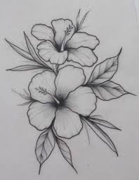 Drawings Page 6 Blog En 2020 Fleur Dessin Facile Comment Dessiner Une Fleur Croquis De Fleurs
