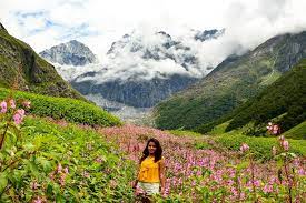 Valley of flowers trek needs one track for four days ex govindghat. How To Reach Valley Of Flowers Altitude Adventure India