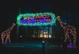 Watch Birmingham Zoo Light Up With A Million Lights At Zoolight Safari In Alabama Birmingham Zoo Zoo Lights Alabama