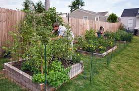 Add some feta, mint and other herbs to help mask the flavour for your husband, dip in tzatziki. Full Sun Garden Plants Vegetables