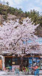  770 Ide Korea Selatan Seoul Di 2021 Fotografi Pemandangan Fotografi Jalanan