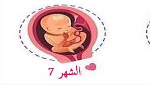 وضعية الجنين في الشهر السابع والتغيرات التي تظهرعلى الأم