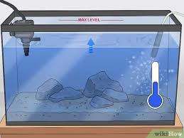 Aerator merupakan alat pemompa udara dari dalam air. Cara Menyiapkan Akuarium Yang Sehat Untuk Ikan Mas Hias Wikihow