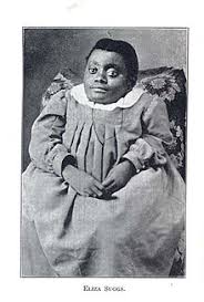 Wilson can grow, prosper with art. Eliza Suggs Wikipedia
