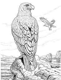 Realistic Animal Coloring Pages For Adults New Coloring Pages Bird Coloring Pages Animal Coloring Pages Detailed Coloring Pages
