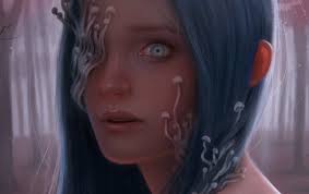 Into The Forest :: Behance