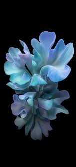 Samsung Galaxy Z Flip Wallpaper Pretty Wallpaper Iphone Iphone Homescreen Wallpaper Flower Phone Wallpaper