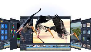 Pinnacle Studio: Video Editing Software & Screen Recorder