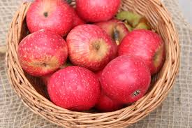 Macoun mairac manks küchenapfel maunzen mcintosh melrose mutsu mutterapfel n. Apfel Rote Sternrenette Befruchter Geschmack Lagerung Selbstversorger De