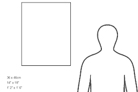 Image result for Heinsia