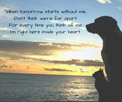 You don't get time off of work. Grief Support Veterinarian In Edgewater Md Greater South River Animal Hosptial