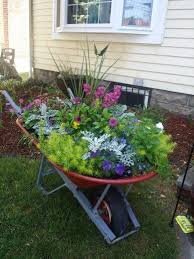 Loving How The Wheel Barrow Planter Turned Out Wheelbarrow Garden Garden Yard Ideas Outdoor Gardens