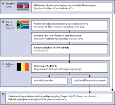Two countries, india and china, carry the most incidences of mdr tb. Outbreak Of Multidrug Resistant Tuberculosis In South Africa Undetected By Who Endorsed Commercial Tests An Observational Study The Lancet Infectious Diseases