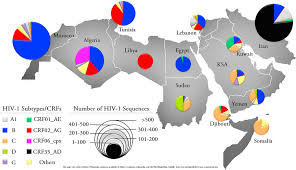 genetic characterization of human immunodeficiency virus