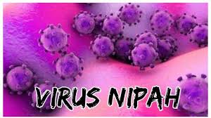 Sebelum dimasukkan ke dalam kemasan, nunuk juga membuat testernya dengan bantuan teknologi yang mumpuni. Snsjhja3yiwqtm