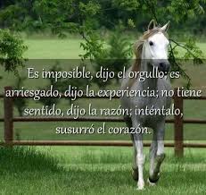 Pin By Geraldina Gomez On Frases Para Recordar Cowgirl Quotes Free Life Quotes Horse Quotes