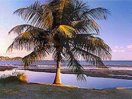 The amenities and location front to the beach. Humacao Puerto Rico