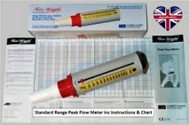 Details About Mini Wright Standard Peak Flow Meter Instructions Blank Charts Bnib Asthma