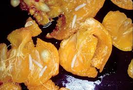 Image result for Synsepalum muelleri