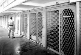 Image result for Insignia White 1990 US Government