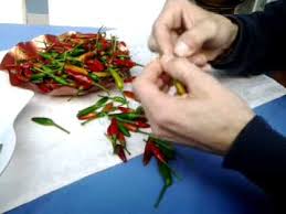 Il peperoncino fresco ha una durata media di circa due settimane ,dopo di che si deteriora e non è più buono. Come Fare Le Collane Di Peperoncini Da Appendere Youtube
