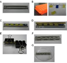 Check spelling or type a new query. Quantifying The Activity Of Cis Regulatory Elements In The Mouse Retina By Explant Electroporation Protocol