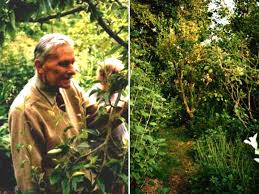 Forêt jardin à uchon (71), saône et loire, bourgogne. Le Jardin Foret Autonomie Resilience