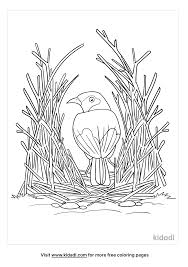 Paper plate bird's nest craft for spring. Bower Bird Nest Coloring Pages Free Birds Coloring Pages Kidadl