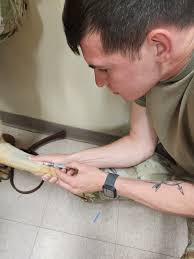 USACC LEA & 905th Military Working Dogs