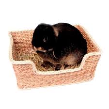 Eh oui, le lapin a de la nourriture interdite ! Lit Pour Rongeurs Naturals Jouets Pour Lapins Clapiers Enclos Et Tunnels Pour Lapins Omlet